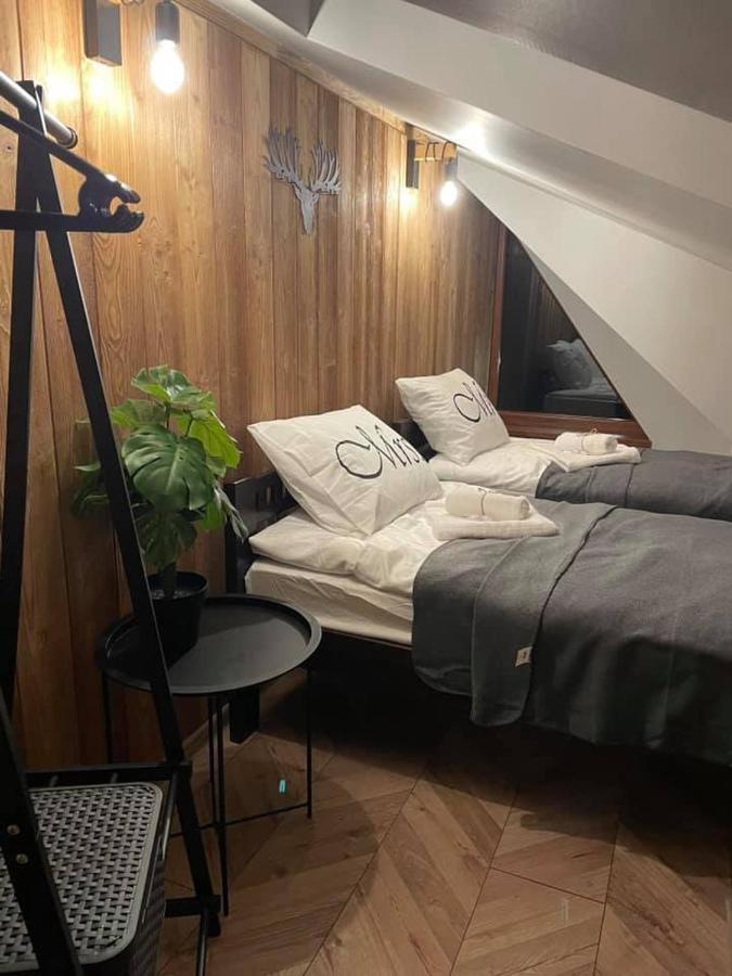 זקופאנה Apartamenty Miejscowka - Apartamenty Z Widokiem Na Gory - Bezplatny Parking מראה חיצוני תמונה