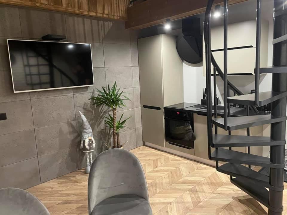 זקופאנה Apartamenty Miejscowka - Apartamenty Z Widokiem Na Gory - Bezplatny Parking מראה חיצוני תמונה